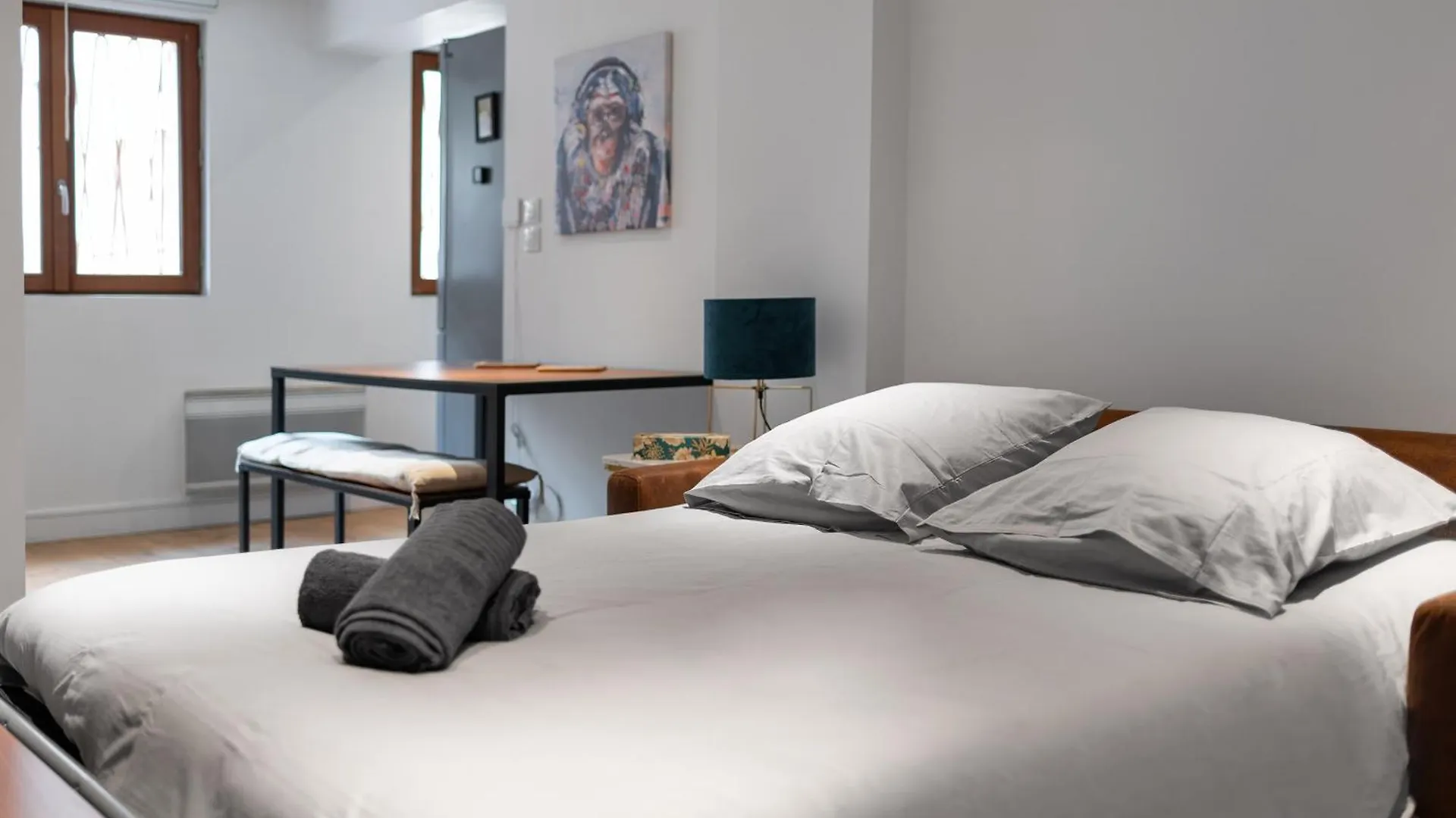 Le Gorille Hypercentre Et Climatisation Apartamento Toulouse França